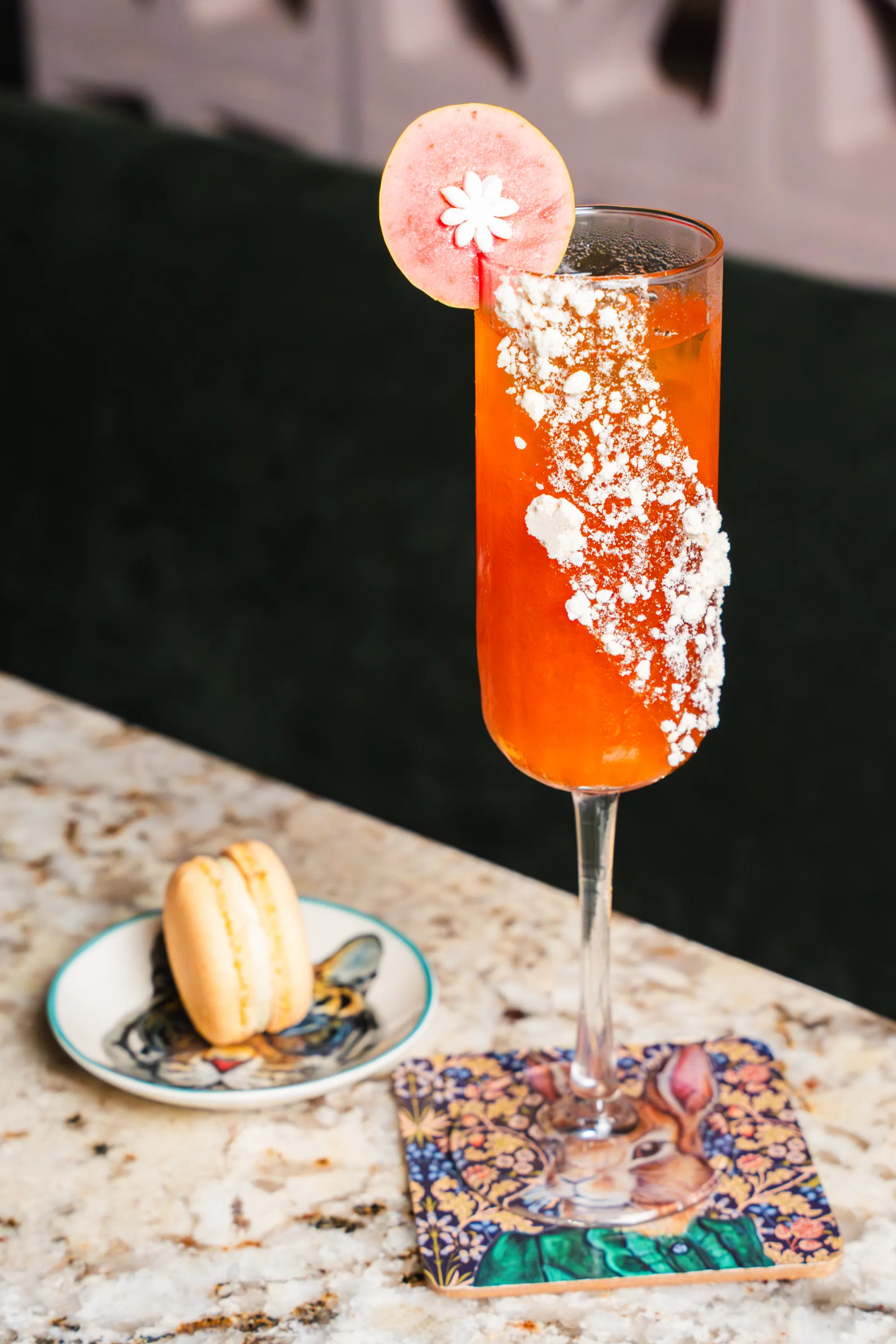 Coctel Master 2026